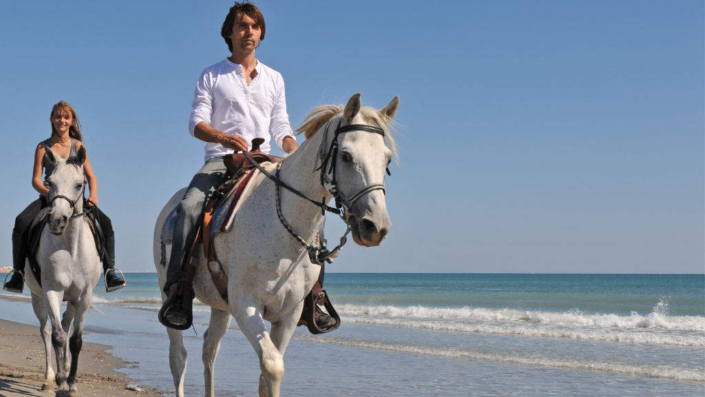 man and woman horseback riding on beach 